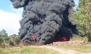 Screenshot_2025-09-09-14-04-50-941_com.whatsapp-edit