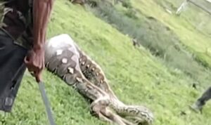 Screenshot_2025-11-19-21-29-45-013_com.miui.mediaviewer-edit