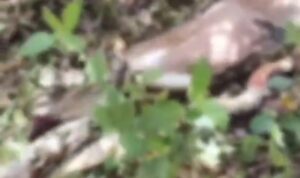 Screenshot_2025-12-02-21-40-14-541_com.miui.mediaviewer-edit