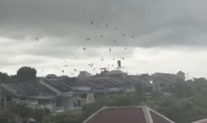 Screenshot_2025-12-03-19-57-52-207_com.miui.mediaviewer-edit