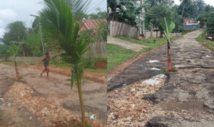 InShot_20260101_121753946