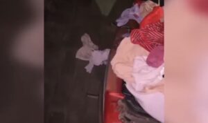 Screenshot_2026-01-22-20-06-45-511_com.miui.mediaviewer-edit