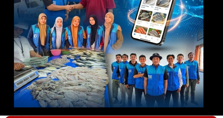 Ikan Online kendari
